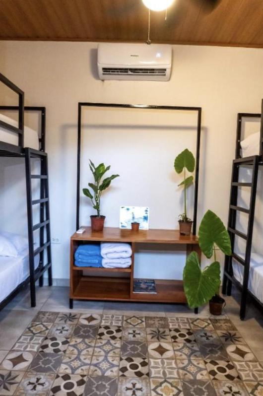 Nao Hostels ปลายาเวเนา ภายนอก รูปภาพ